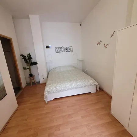 Kaktusa Апартаменты Пировац