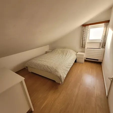 Apartment Kaktusa Pirovac