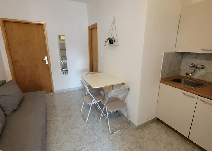 Kaktusa * 皮罗瓦茨